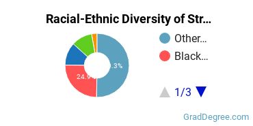 Racial-Ethnic Diversity of Stratford University Graduate Students