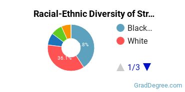 Graduate Racial-Ethnic Diversity at Strayer University-Global Region