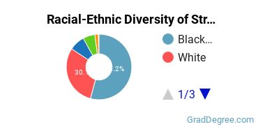 Graduate Racial-Ethnic Diversity at Strayer University-Pennsylvania