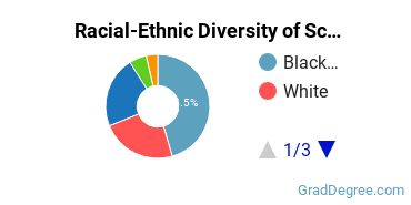 Graduate Racial-Ethnic Diversity at School of Urban Missions