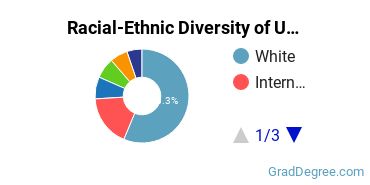 Graduate Racial-Ethnic Diversity at SUNY at Albany