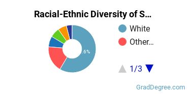 Graduate Racial-Ethnic Diversity at SUNY Maritime College