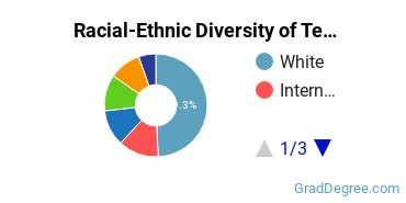 Graduate Racial-Ethnic Diversity at Temple