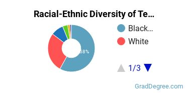 Graduate Racial-Ethnic Diversity at Tennessee State University
