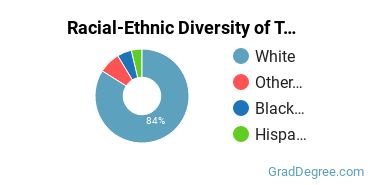 Graduate Racial-Ethnic Diversity at Tennessee Wesleyan University