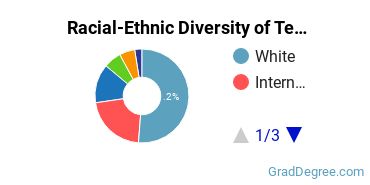 Graduate Racial-Ethnic Diversity at Texas Tech University