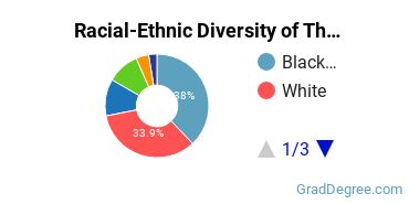 Graduate Racial-Ethnic Diversity at The Chicago School of Professional Psychology at Washington DC