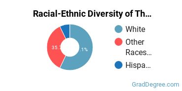 Graduate Racial-Ethnic Diversity at C of I