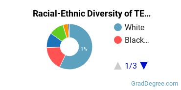 Graduate Racial-Ethnic Diversity at Thomas Edison State University