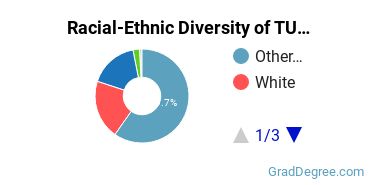 Graduate Racial-Ethnic Diversity at TU