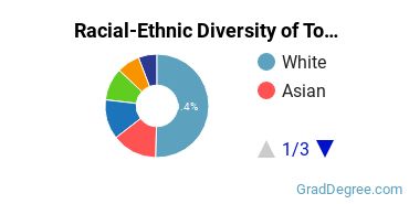 Graduate Racial-Ethnic Diversity at Touro University