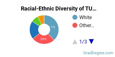 Graduate Racial-Ethnic Diversity at TUW