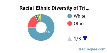 Graduate Racial-Ethnic Diversity at Trine University