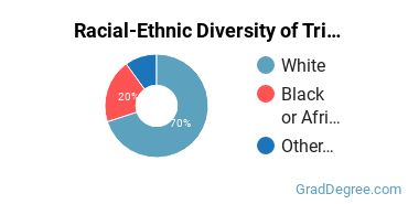 Graduate Racial-Ethnic Diversity at Trinity Baptist College