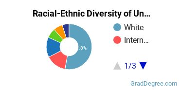 Graduate Racial-Ethnic Diversity at Union Theological Seminary