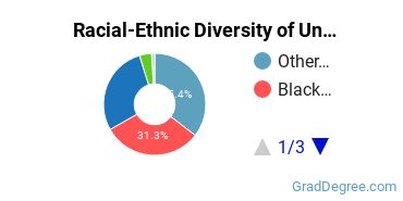 Graduate Racial-Ethnic Diversity at United Theological Seminary