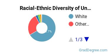 Graduate Racial-Ethnic Diversity at Unity Environmental University