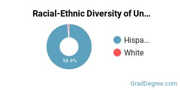 Graduate Racial-Ethnic Diversity at Antillean Adventist University