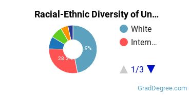 Graduate Racial-Ethnic Diversity at University at Buffalo