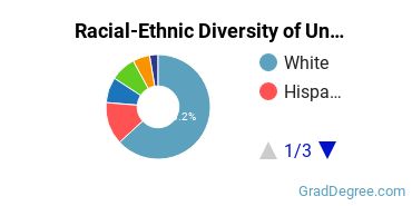 Graduate Racial-Ethnic Diversity at University of Advancing Technology