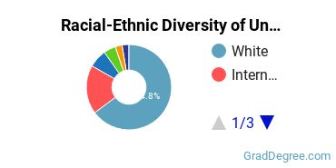 Graduate Racial-Ethnic Diversity at University of Akron Main Campus