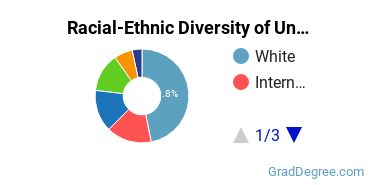 Graduate Racial-Ethnic Diversity at University of Arizona