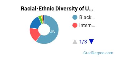 Graduate Racial-Ethnic Diversity at UAPB