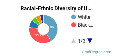 Graduate Racial-Ethnic Diversity at UBalt