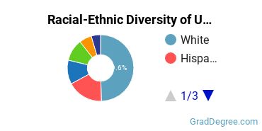 Graduate Racial-Ethnic Diversity at UCF