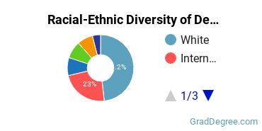 Graduate Racial-Ethnic Diversity at University of Detroit Mercy