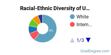 Graduate Racial-Ethnic Diversity at University of Hartford