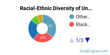 Graduate Racial-Ethnic Diversity at University of Management and Technology