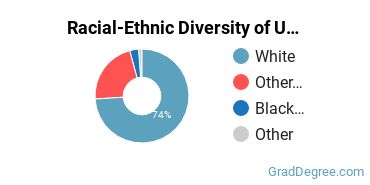 Graduate Racial-Ethnic Diversity at UMary/Marauders