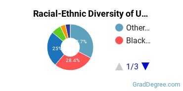 Graduate Racial-Ethnic Diversity at UMES