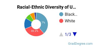 Graduate Racial-Ethnic Diversity at UMGC