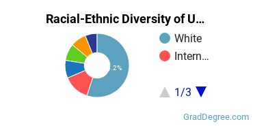 Graduate Racial-Ethnic Diversity at University of Massachusetts-Boston