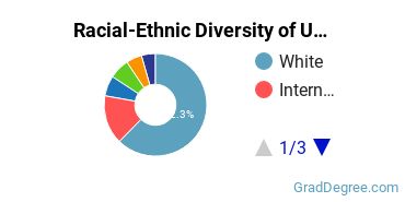 Graduate Racial-Ethnic Diversity at UMass Dartmouth