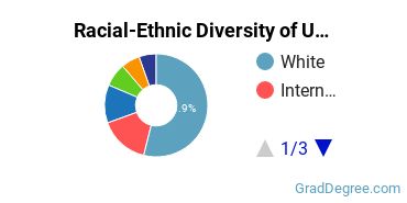 Graduate Racial-Ethnic Diversity at University of Massachusetts-Lowell