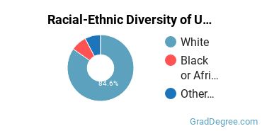 Graduate Racial-Ethnic Diversity at UNC Asheville