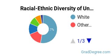Graduate Racial-Ethnic Diversity at University of Oklahoma-Norman Campus