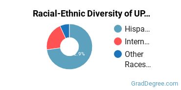 Graduate Racial-Ethnic Diversity at University of Puerto Rico-Mayaguez