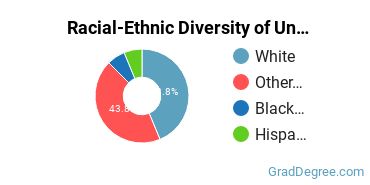 Graduate Racial-Ethnic Diversity at University of Rio Grande and Rio Grande Community College