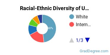 Graduate Racial-Ethnic Diversity at University of South Florida USF