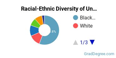 Graduate Racial-Ethnic Diversity at University of the District of Columbia