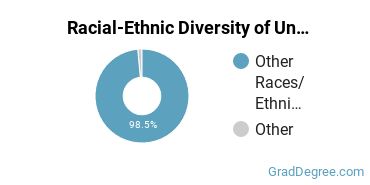 Graduate Racial-Ethnic Diversity at University of the People