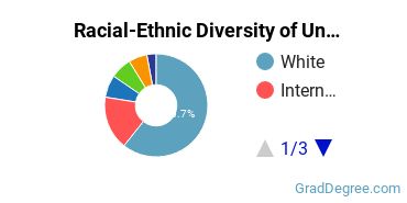 Graduate Racial-Ethnic Diversity at University of Toledo
