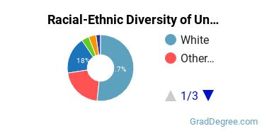 Graduate Racial-Ethnic Diversity at Tulsa University