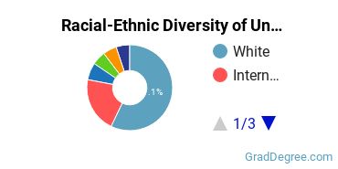Graduate Racial-Ethnic Diversity at University of Virginia  UVa  UVA