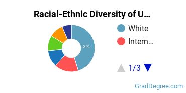 Graduate Racial-Ethnic Diversity at University of Washington-Tacoma Campus