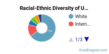Graduate Racial-Ethnic Diversity at UWM